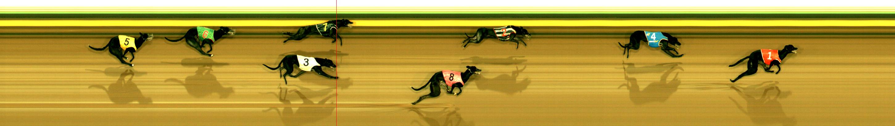 Race result finish photo